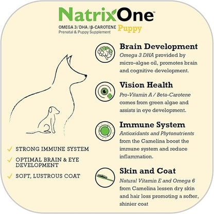 100% Pure Camelina Oil for Puppies, 8 oz - Puppy Immune System and Cognitive Development Booster, Protective Care - Omega 3 by NatrixOne