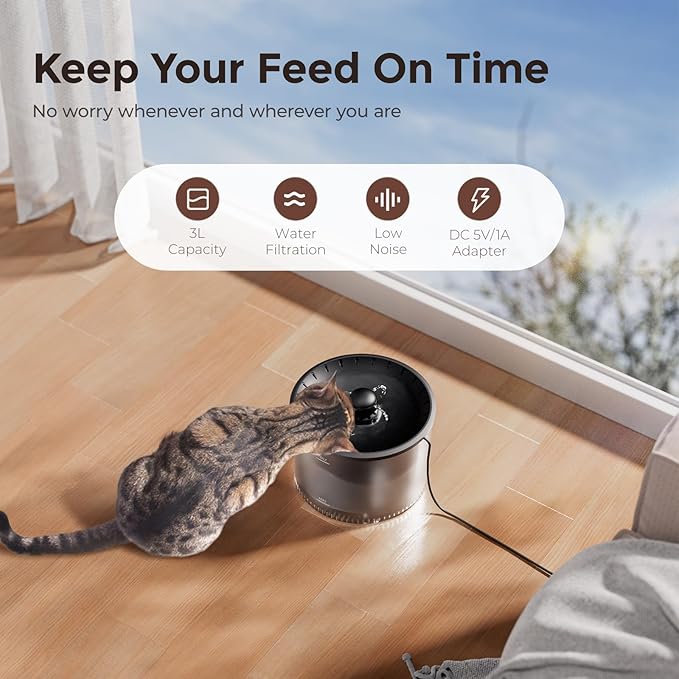Automatic Cat Feeder and Water Fountain, Timed Pet Dry Food Dispenser, Programmable Portion Control, 1-6 Meals Per Day, Cat Fountains for Drinking with Filter, Small Pets (3L Combo)