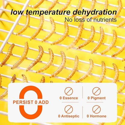 Dried Black Soldier Fly Larvae 4 LB,Chicken Feed, Hamster Food,More Calcium Than Dried Mealworms High-Protein Chickens Treats, Food for Wild Birds, Ducks, Layer Hens(4 LB)