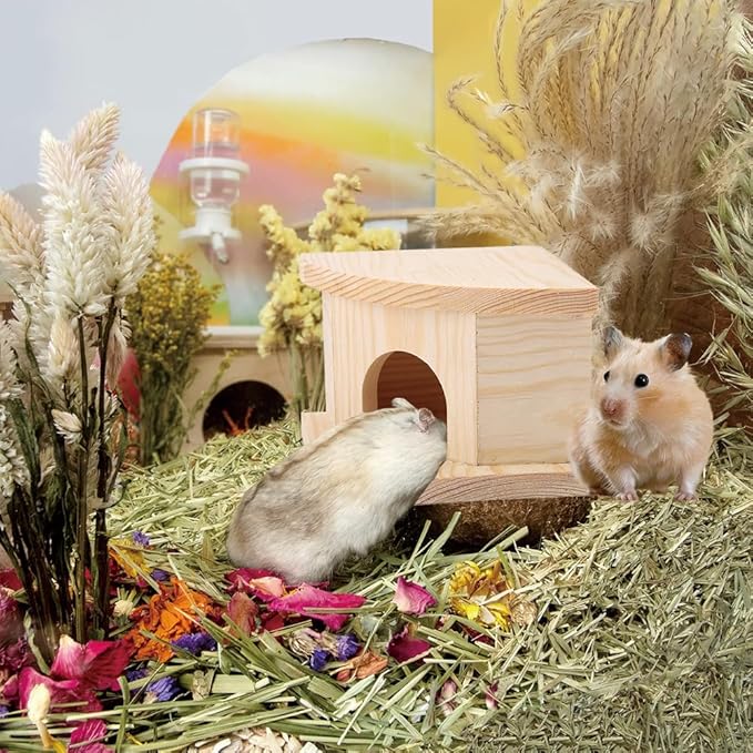 Joyzan Hamster Hideout Wooden House, Chamber Mouse Playing Hiding Chewable Ventilated Hut Pet Woodland Habitats Decor Small Animals Secret Peep Shed Dwarf Syrian Chinchillas Gerbils Hedgehog Rats Mice