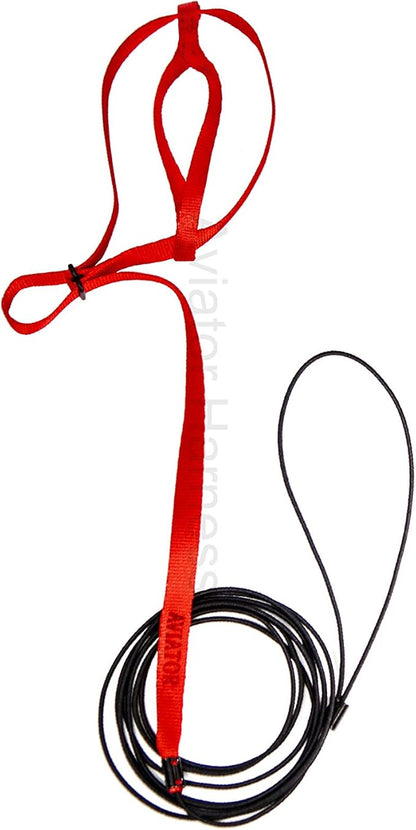 The AVIATOR Pet Bird Harness and Leash: Petite Red XX-Small