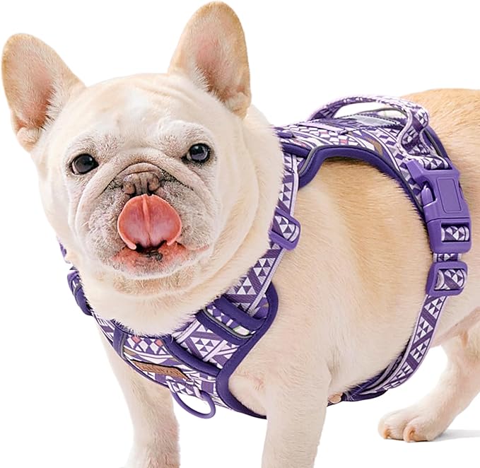 Small Dog No Pull Dog Harness, Pet Harness with ID Card Reflective Strip Soft Padded Handle, Adjustable Vest Harness for Walking Hiking Training, Geometric Pattern, Beagle, Purple Ethnic, S