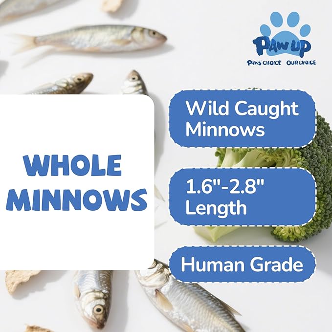 Freeze Dried Minnows Cat Treats – 100% Raw Single-Ingredient Pet Fish Snacks – Rich in Omega-3, Grain-Free – Healthy Training Rewards & Meal Toppers for Dogs & Cats, 2.8 oz