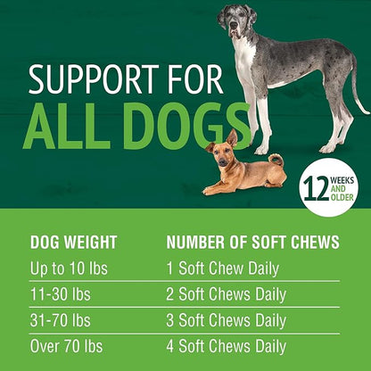 PetNC Natural Care Liver Flavor,Cheese Pre & Probiotic Soft Chews for Dog 120 ct (Pack of 1) (Packaging May Vary)