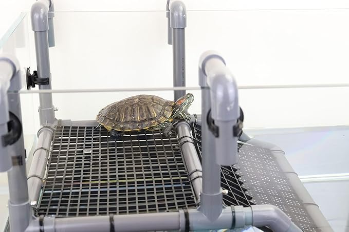 Extra Large Turtle Basking Platform, Specifically for 18 to 19 Inch Wide Aquariums