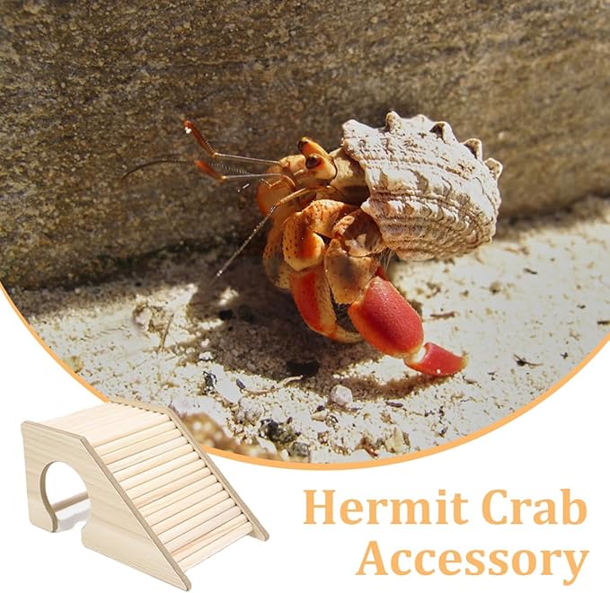 Hermit Crab Hideout with Ramp, Wooden Hermit Crab Climibing Toys, Aquariums Ladder Bridge Ramp Toy, Small Animals Tank or Cage Accessories, Small Animals Habitat for Hermit Crab Hamsters Rat