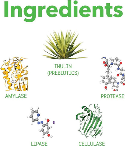 InClover Optagest Natural Digestive Aid, Organic Prebiotics & Enzymes Supplement Powder for Dogs and Cats - Promotes Healthy Stools, Less Gas, Optimal Nutrient Absorption, Intestinal Balance, 10.5oz