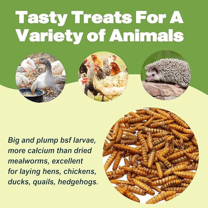 5LB Dried Black Soldier Fly Larvae, 86X Calcium Than Dried Mealworms, High Protein Non-GMO Organic Chicken Feed Reptile & Amphibian Food