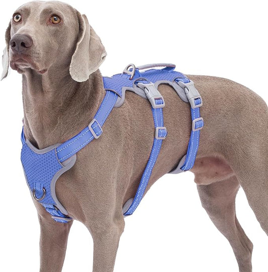 Escape Proof Dog Harness, No Pull Reflective Harness with Lift Handle, Adjustable Pet Vest with Front and Back Leash Clips for Small Medium Large Dogs Walking Hiking Training (Vista Blue,XL)