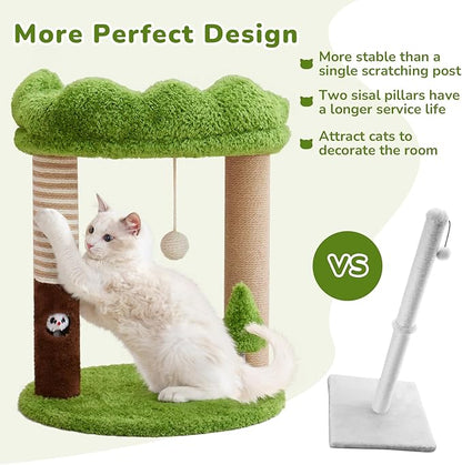 Small Cat Tree with Perch Cat Bed and Removable Cover 23 inch Tall Cat Tower with 2 Scratching Sisal Scratching Posts and Cat Toys for Kittens and Adult Cats（Green）