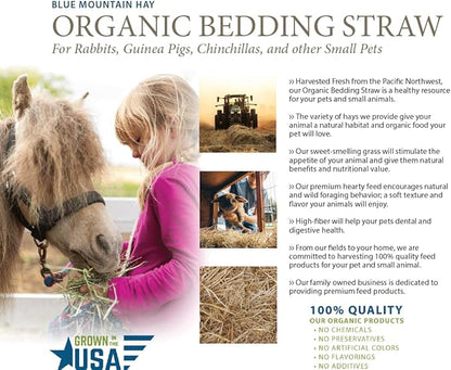 Blue Mountain Hay | Organic Bedding Straw (5 lb) | Natural Pet Bedding & Insulation for Rabbits, Guinea Pigs, Goats, Chickens, Stray & Feral Cats, and Small Animal Shelters