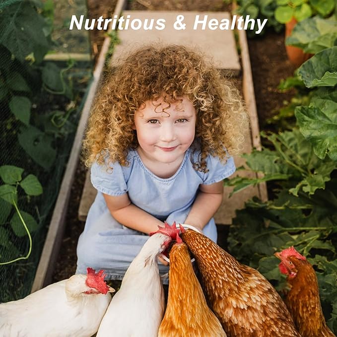 Dried Black Soldier Fly Larvae 2 LB,Chicken Feed, Hamster Food,More Calcium Than Dried Mealworms High-Protein Chickens Treats, Food for Wild Birds, Ducks, Layer Hens(2 LB)