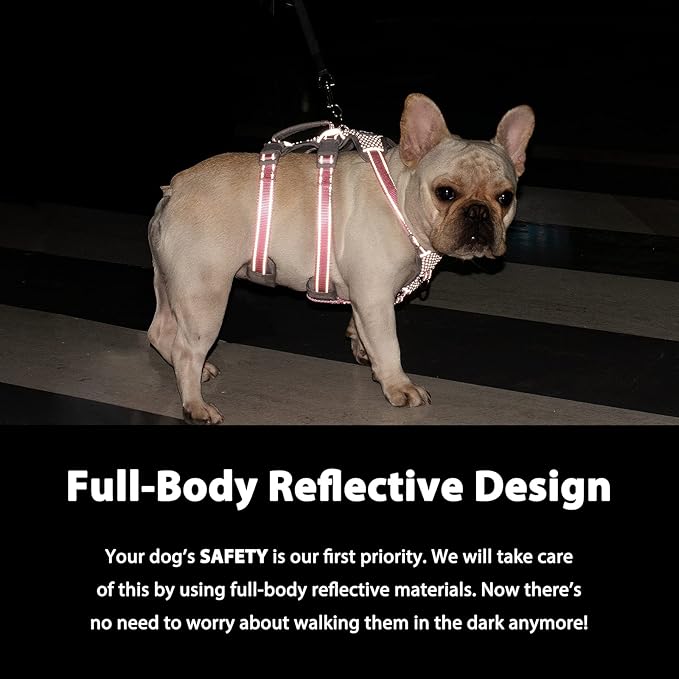 Escape Proof Dog Harness, No Pull Reflective Harness with Lift Handle, Adjustable Pet Vest with Front and Back Leash Clips for Small Medium Large Dogs Walking Hiking Training (Black,XL)