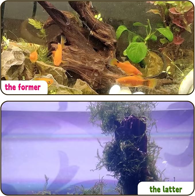 Hamiledyi 5PCS Aquarium Driftwood,3.5-7in Natural Coral Wood,Fish Tank Driftwood Assorted Branches Reptile Tank Decor Aquarium Decoration