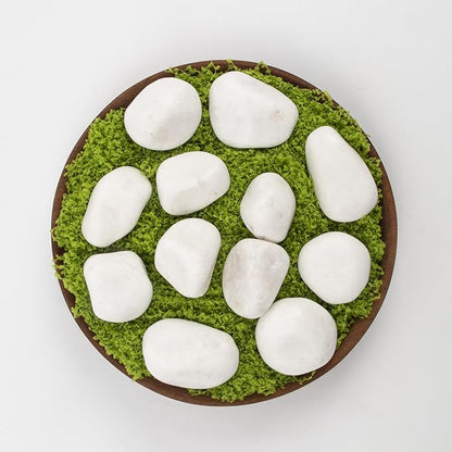 10lbs White River Rocks, Polished Pebbles for Plants, Garden, 1-2 Inch Decorative Stones, Ideal for Fish Tanks, Vases, Crafting, and Landscaping (Weight : 10 LB, Pure White)