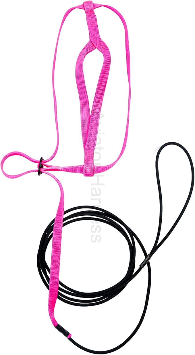 The AVIATOR Pet Bird Harness and Leash: Large Pink