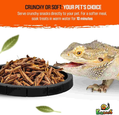 Medley Treat Bearded Dragon Food - Freeze Dried Mealworms, Grasshoppers, Crickets, Quality Tested, Vitamin & Calcium Enriched, Essential Proteins, Fats & Minerals - for Bearded Dragons, Reptiles 6 oz