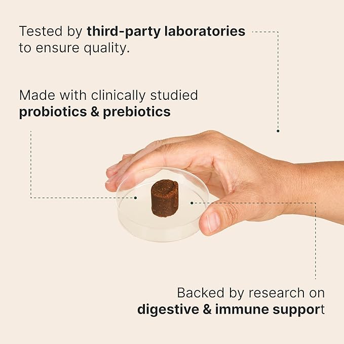 Wuffes Daily Probiotic for Dogs - Supports Digestive Health, Gut Balance, and Immune System - with Prebiotics, Marshmallow Root, and Pumpkin Powder - 60 Soft Chews
