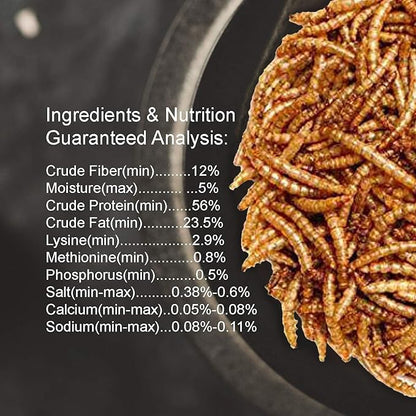 Amzey Appetizing Mealworms 5 LBS- 100% Non-GMO Dried Mealworms - Large Meal Worms - High Protein Treats- Perfect Mealworm for Chickens, Ducks, Turtles, Blue Birds, Lizards - Bag of Mealworms 5 LBS