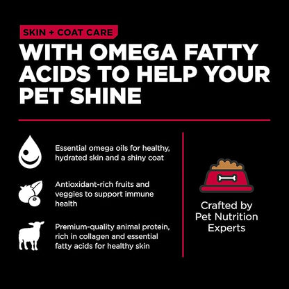 Go! Solutions Skin + Coat Care, Dry Dog Food, Lamb Recipe with Grains, 3.5 lb Bag