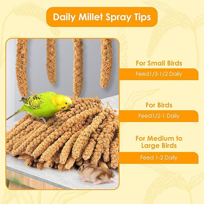 KATUMO 1.1LB Spray Millet Treat for Pet Birds, Natual Sun-Dried Bird Millet Parrot Food for Parakeet Budgie Cockatiel Finches Lovebird Conure Parrots Hamster