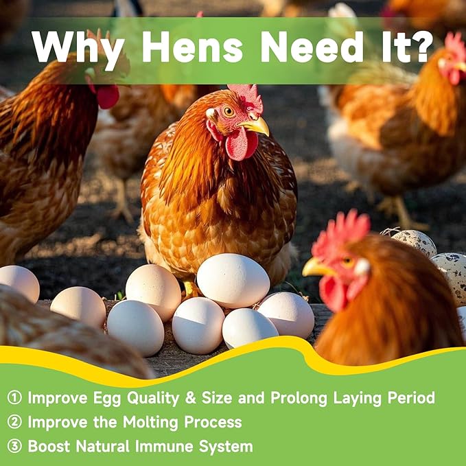 1LB Dried Black Soldier Fly Larvae Treat for Chicken, 100% Natural Non-GMO More Calcium Than Dried Mealworms High Protein Chicken Feed for Birds, Ducks, Layer Hens