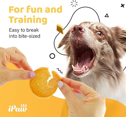 iPaw Turkey Chips Dog Treats for Puppy Training, All Natural Human Grade Dog Treat, US Sourced Raw Material, Hypoallergenic, Easy to Digest (Turkey Chips), 2 Packs