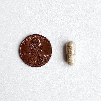 Cat Probiotics - GMP Prebiotics and Probiotics - Reduces Diarrhea Flareups for Cats - KittyBiome