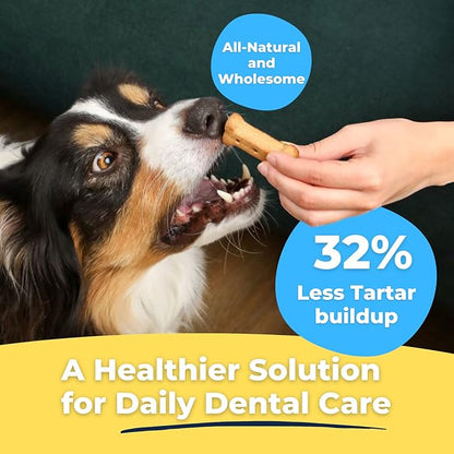Tartar Shield Dental Dog Biscuits | Safe Daily Treats | Cookie Cleans Teeth & Gums Fresh Breath Natural Oral Health Support | Tasty Lean Chicken Flavor | USA Made