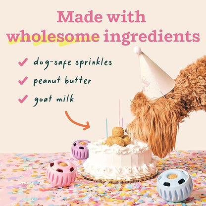 WOOF Pupsicle Birthday Pops - Healthy Dog Treats - Pre-Made Pupsicle Refills - Wholesome Ingredients - Naturally Sweet - Cake-Flavored Birthday Treat for Dogs - XL