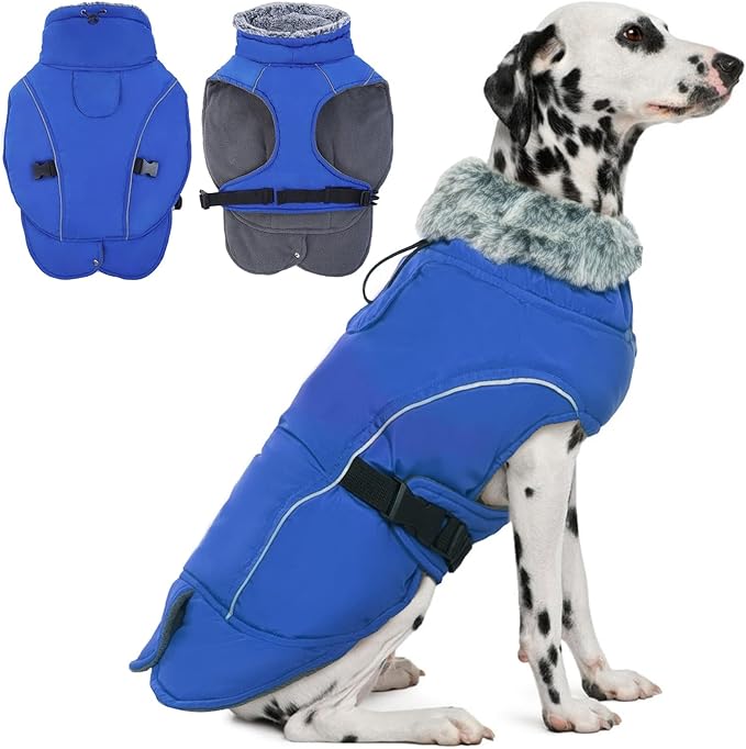 DENTRUN Dog Winter Coat - Windproof Reflective Jacket, Plush Turtleneck & Adjustable Belt, Water Repellent Fleece Lined Cold Weather Vest for Corgi Bulldog, Blue, L