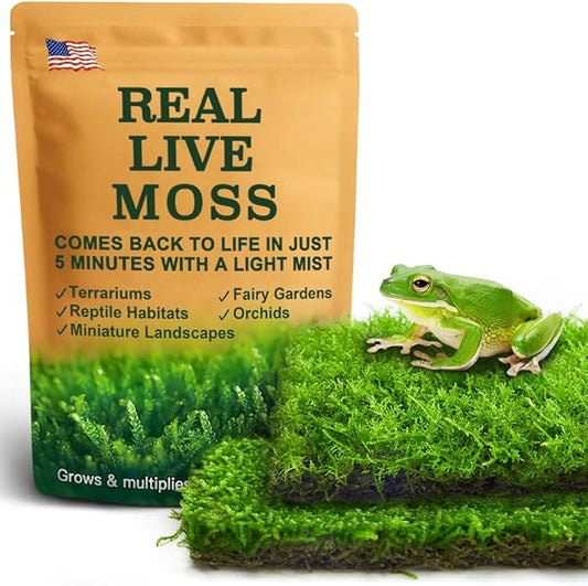 Live Moss Duo Pack – 2 Varieties Mixed Moss for Reptile Terrariums, Amphibian Habitats, Bonsai, Vivariums