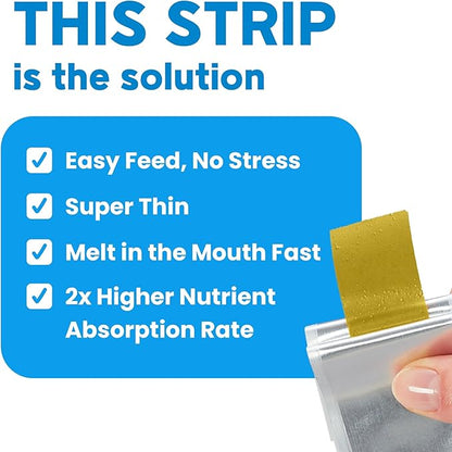 NeLM Supplements & Vitamins for Dogs - Mouth Dissolving Strips - Multivitamin, Eye, Hip & Joints, Gut, Dental Support - Pet Health Supplies - 30 Stips(Pack of 1) (30 Strips (Pack of 1), Dental Care)