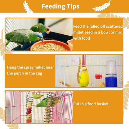 kathson Natural Sun-Dried Birds Millet Spray Millet Treat Bird Snacks for Parrots Cockatiels Lovebirds Painted Buntings and Finches Parakeets 2.2 LB