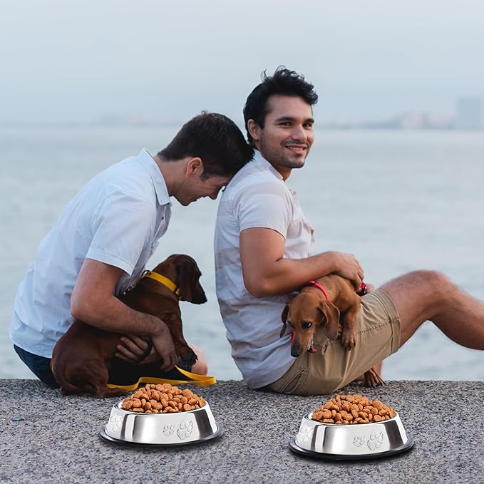 10 Pcs Stainless Steel Dog Bowl Pet Feeding Bowl with Rubber Base Non-Slip Pet Dishes Metal Dog Bowls Pet Food and Water Bowls for Small Medium Animals Kitten Rabbit (30 oz)