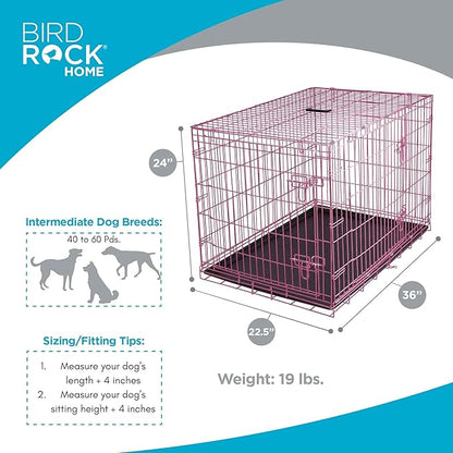 Internet's Best Wire Dog Crate for Dogs - Double Door Metal Steel Crate, Indoor Folding & Collapsible Cage, Secure & Durable, Portable Travel Kennel, Ideal for Home Use - Pink, 36 Inches