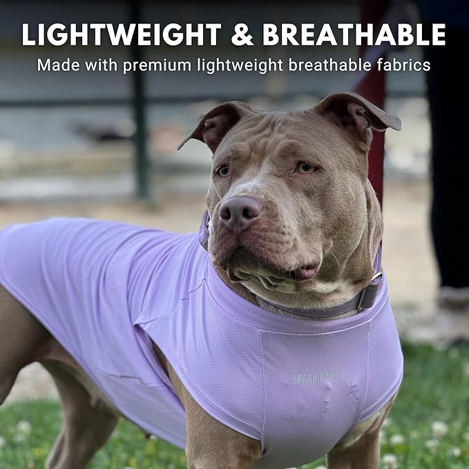 Spark Paws Sunblock Dog T-Shirt, SPF30 Protection, Lightweight Breathable Quick Dry for Dogs with Sensitive Skin - Purple & Pink (Set of 2) - M