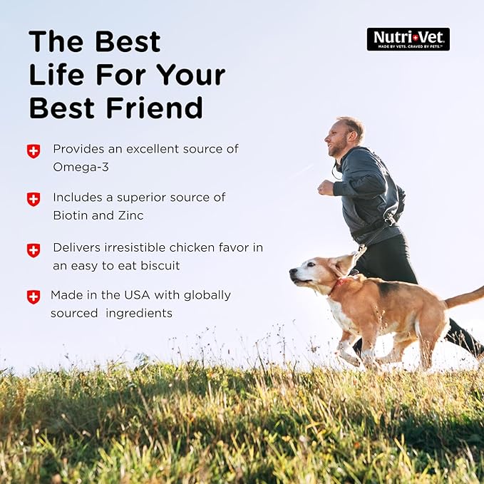 Nutri-Vet Skin & Coat Biscuits for Dogs, Tasty Dog Treat, Skin and Coat Supplement, Omega 3 Fish Oil, Small Sized Biscuit, Made with Omega 3 and Biotin, Fish Oil Treat for Pets, 16 oz(Pack of 2)