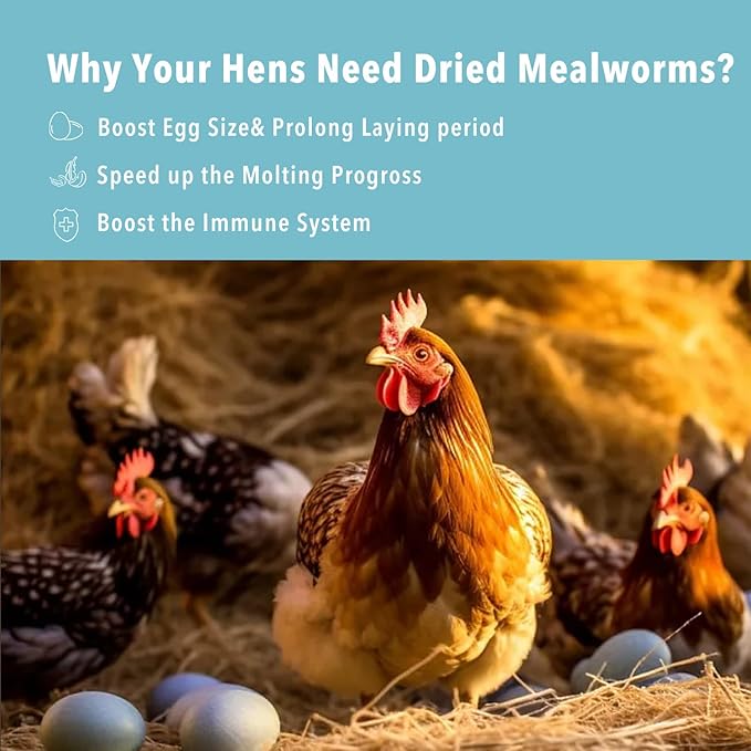 11lb Dried Mealworms for Chickens Snacks for Birds Bulk-Treats for Laying Hens(11 Pound)