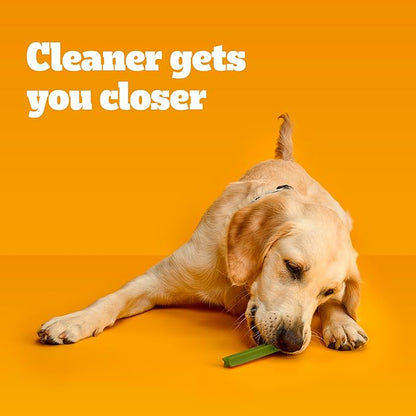 Pedigree Dentastix Large Breed Dog Treats, Fresh Flavor, 1.87 lb. Bag (36 Treats)