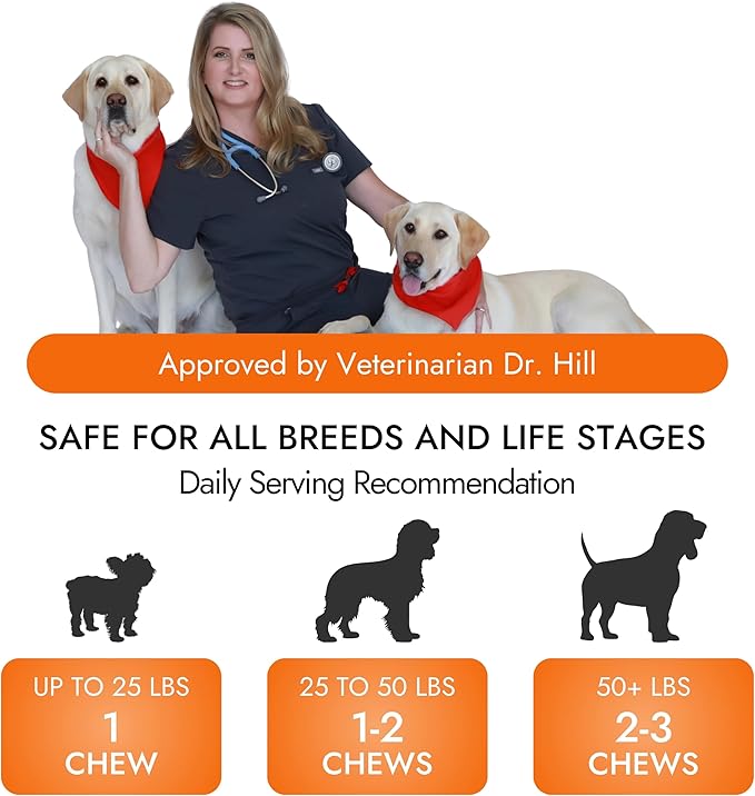 Dog Hip and Joint Supplement - Glucosamine for Dogs (Beef Liver, 60 Chews) - Dog Joint Supplement with MSM, Chondroitin, Vet Approved Dog Vitamins -Mobility Joint Pain Supplements