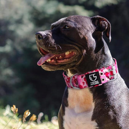 TSPRO Tactical Dog Collar, Adjustable, with Patch & Double Needle Metal Buckle, Heavy Duty for Medium to Large Dogs, Durable for Walking, Running, Hiking & Training (Military Green M+)