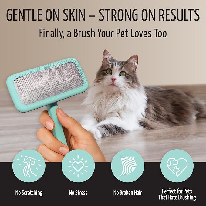 Tauro Pro Line Wooden Deshedding Dog Brush for Long Goldendoodle, Labradoodle & Poodle Hair - Mint Slicker Brush for Dog & Cat Grooming - Rectangular Flexible Cushion & Non-Slip Grip, L