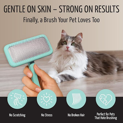 Tauro Pro Line Wooden Deshedding Dog Brush for Long Goldendoodle, Labradoodle & Poodle Hair - Mint Slicker Brush for Dog & Cat Grooming - Rectangular Flexible Cushion & Non-Slip Grip, L