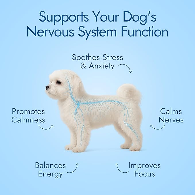 Pet Vet Calming Chews for Dogs – Dog Anxiety Relief (Beef Liver Flavor 60 Chews) – Stress Relief, Dog Supplements for Hyperactive & Anxious Dogs – Dog Anxiety Chews for Relaxation, Dog Care Products