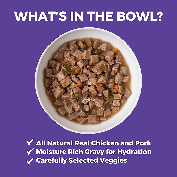 KOHA Memphis BBQ Stew for Dogs with Chicken and Pork, High Protein Wet Dog Food, 12.7oz Cans (Case of 12)