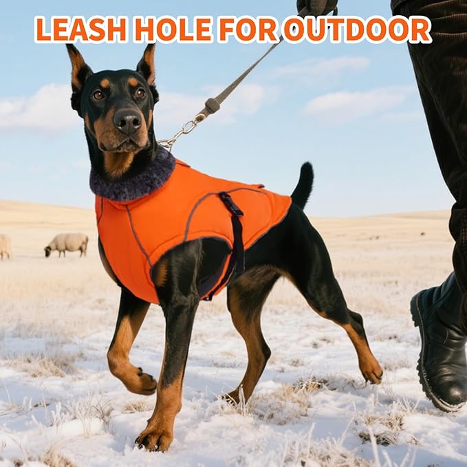 DENTRUN Large Dog Winter Coat - Windproof Reflective Warm Coat, Adjustable Neck & Snap Closure, Water Repellent Thick Fleece Vest, Fleece Lined for for Golden Retriever, Orange, XL