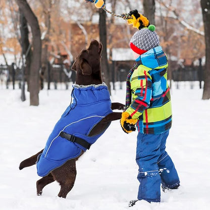 DENTRUN Large Dog Winter Coat - Windproof Reflective Warm Coat, Adjustable Neck & Snap Closure, Water Repellent Thick Fleece Vest, Fleece Lined for for Golden Retriever, Blue, XL