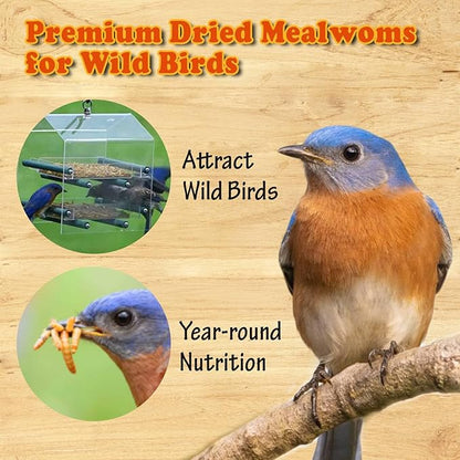 Amzey Dried Mealworms - 2 Pack 3.5OZ (7OZ Total) - High Protein Non GMO Mealworms - Great for Bearded Dragon, Birds, Fish, Lizard, Ducks, Chickens, Hamsters, Hedgehogs,Turtle Food, Reptile Food