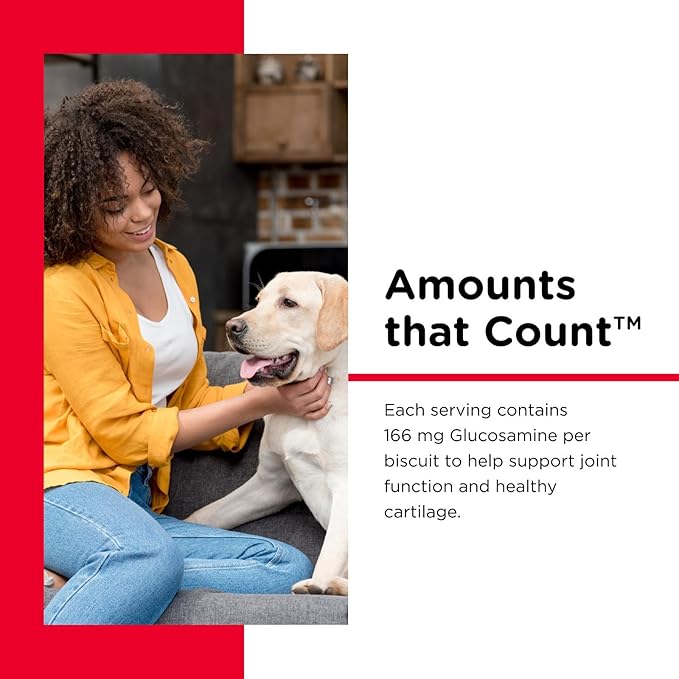 Nutri-Vet Hip & Joint Biscuits for Dogs, Tasty Glucosamine Treat, Puppy Supplements, Dog Joint Supplement, Small Sized Biscuit with 166mg Glucosamine, Puppy Essentials, 16 oz (Pack of 2)